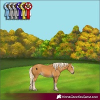 Horse Color:Palomino