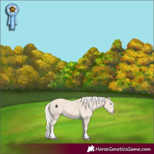 Horse Color:Cremello 