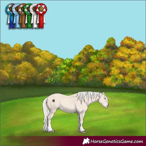 Horse Color:Cremello 