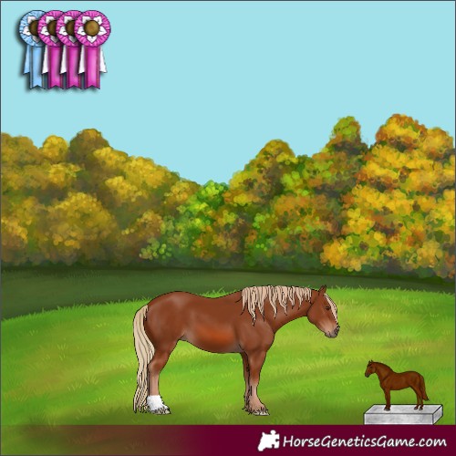Horse Color:Chestnut 