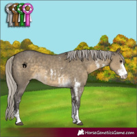 Horse Color:Silver Smoky Grullo Sabino