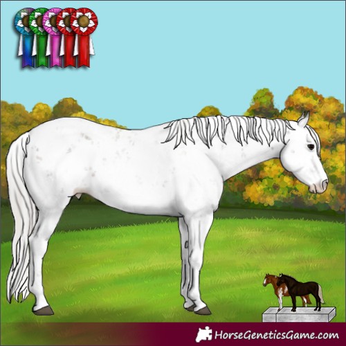 Horse Color:Silver Grullo Sabino 