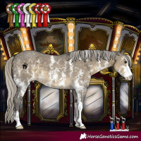 Horse Color:Silver Smoky Grullo Sabino 