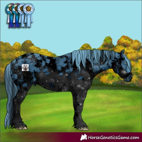 Horse Color:ERROR: UNKNOWN ANOMALY