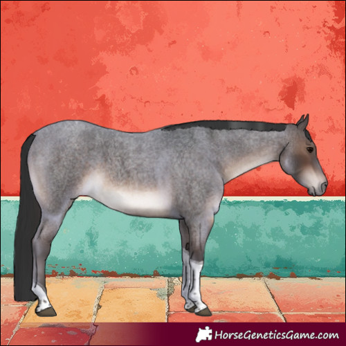 Horse Color:Brown Roan Tobiano 