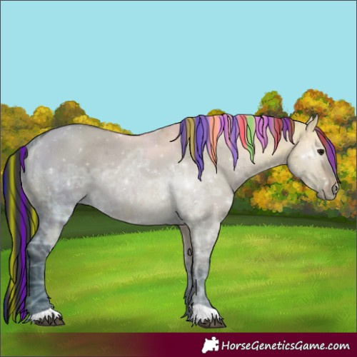 Horse Color:Painted Brown Ice Dun Rabicano 