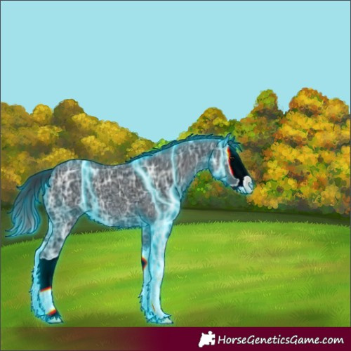 Horse Color:Thunderstruck Black Ice Splash 