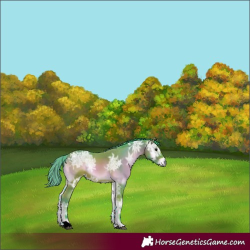 Horse Color:Watercolor Bay Ice Onyx 