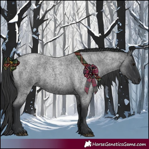 Horse Color:Blue Roan 