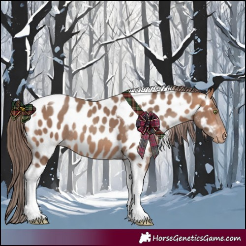 Horse Color:Amber Champagne Tobiano Near Leopard Rabicano 