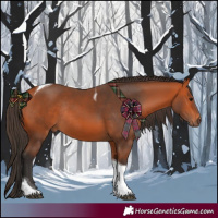Horse Color:Bay Tobiano Rabicano 