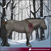 Horse Color:Grullo 