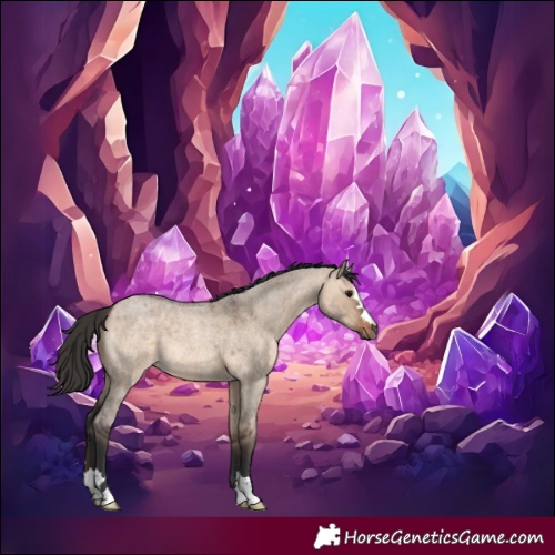 Horse Color:Brown Roan Dun 