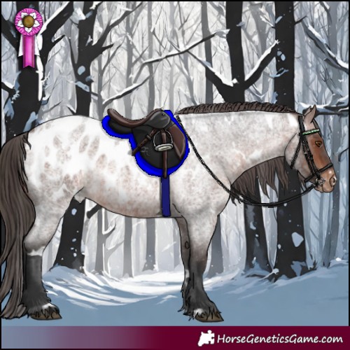 Horse Color:White Spotted Brown Roan Appaloosa 