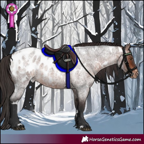 Horse Color:White Spotted Brown Roan Blanket 