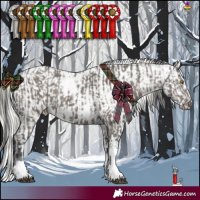 Horse Color:White Spotted Grullo Tobiano Rabicano and White Spotted Silver Buckskin Roan Appaloosa