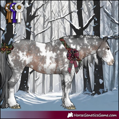 Horse Color:White Spotted Brown Sabino Rabicano 