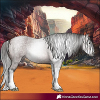 Horse Color:Gray Bay Roan Splash 
