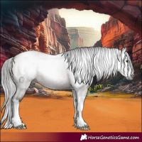 Horse Color:Gray Bay Roan Splash 