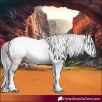 Horse Color:Gray Bay Roan Splash 
