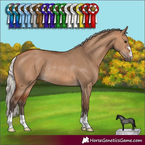 Horse Color:Silver Brown Dun Rabicano 