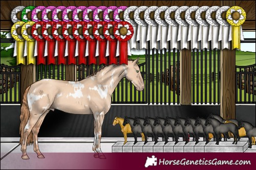 Horse Color:White Spotted Gold Champagne Dun 