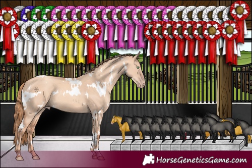 Horse Color:White Spotted Gold Champagne Dun 