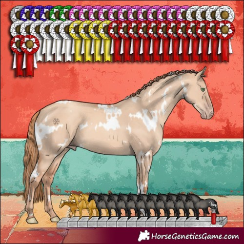 Horse Color:White Spotted Gold Champagne Dun 