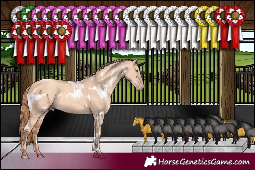 Horse Color:White Spotted Gold Champagne Dun 