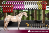 Horse Color:White Spotted Gold Champagne Dun 