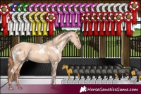 Horse Color:White Spotted Gold Champagne Dun 