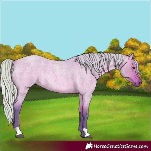 Horse Color:Watercolor Silver Bay Roan Dun Rabicano