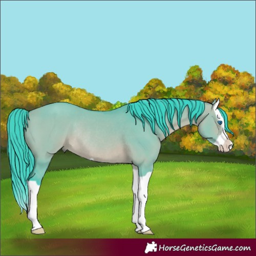Horse Color:Watercolor Bay Dun Splash Rabicano