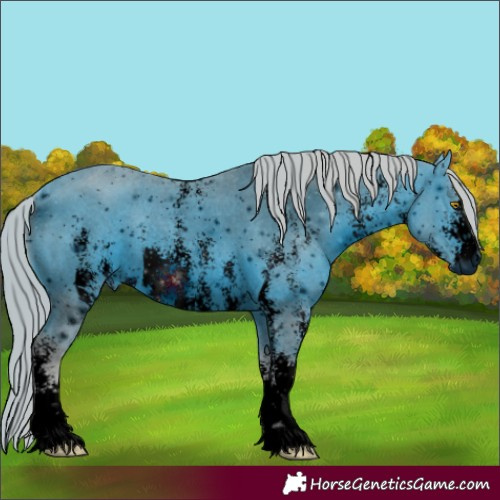 Horse Color:ERROR: UNKNOWN ANOMALY
