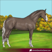 Horse Color:Silver Black 