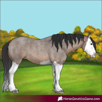 Horse Color:Brown Roan Dun Splash