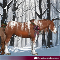 Horse Color:Powder White Chestnut