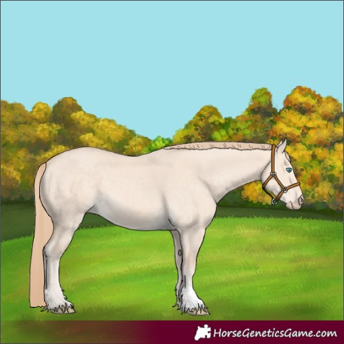Horse Color:Perlino Dun 
