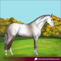 Horse Color:Gray Classic Champagne 
