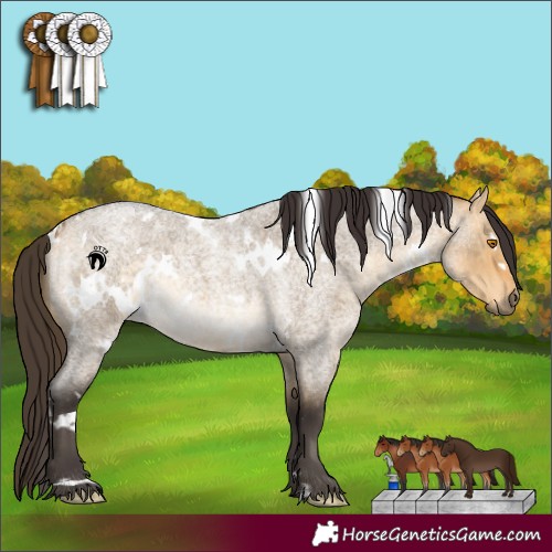 Horse Color:White Spotted Buckskin Roan Dun 