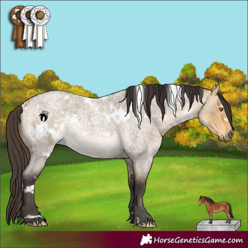 Horse Color:White Spotted Buckskin Roan Dun 