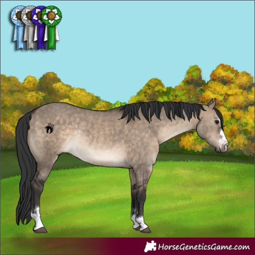 Horse Color:Brown Dun Rabicano 