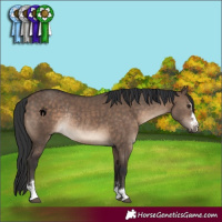 Horse Color:Brown Dun Rabicano 
