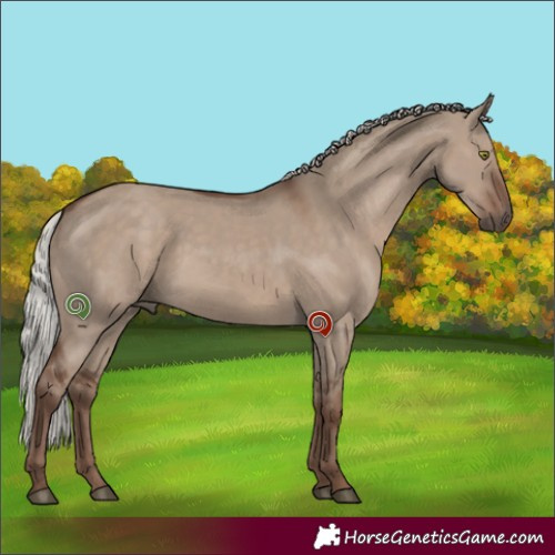 Horse Color:Silver Grullo Rabicano 