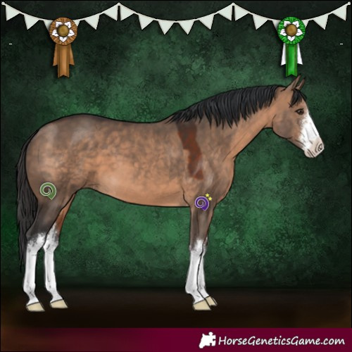 Horse Color:White Spotted Brown Dun