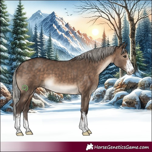 Horse Color:Silver Brown Dun Sabino Brindle