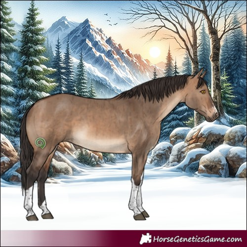 Horse Color:Brown Dun Sabino Tobiano Brindle 