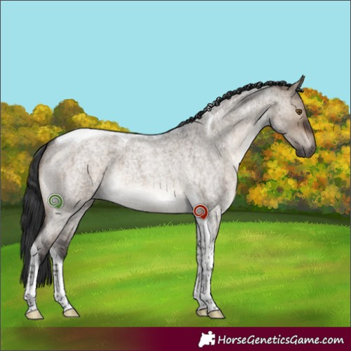 Horse Color:Brown Roan Dun Tobiano Brindle 
