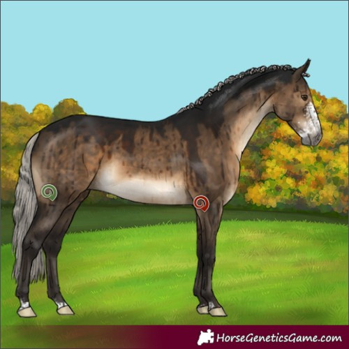 Horse Color:Gray Silver Brown Dun Sabino Brindle