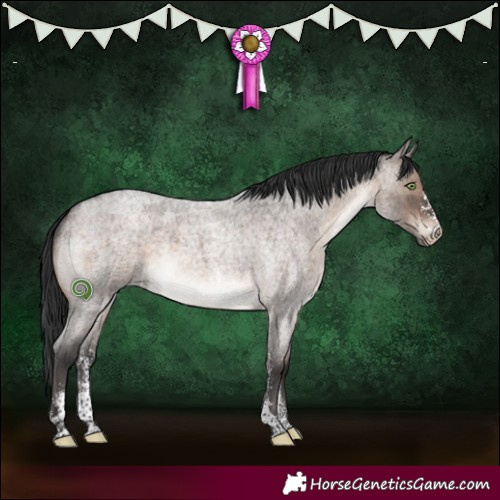 Horse Color:Brown Roan Dun Mushroom Sabino Brindle